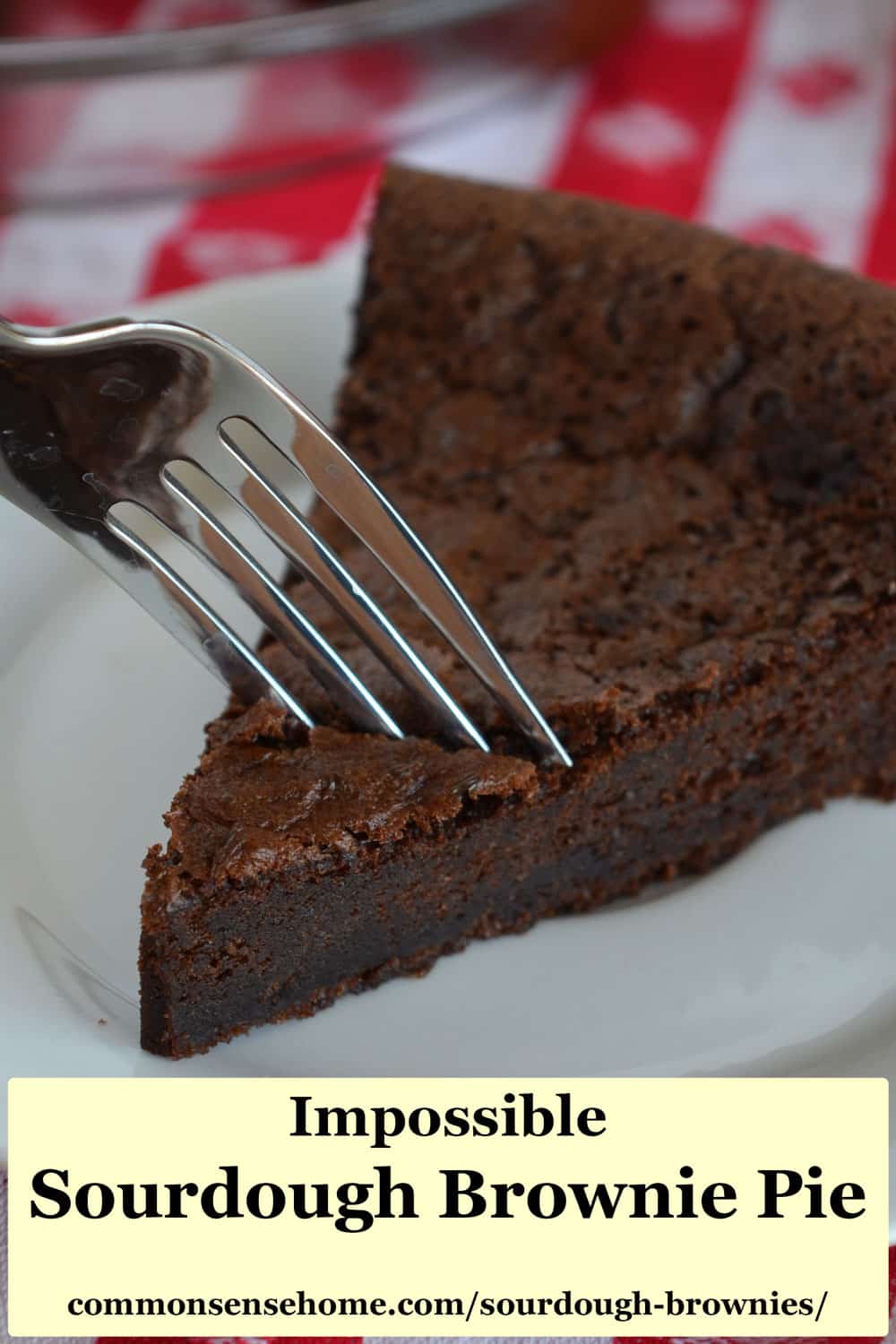 taking a bite of sourdough brownies