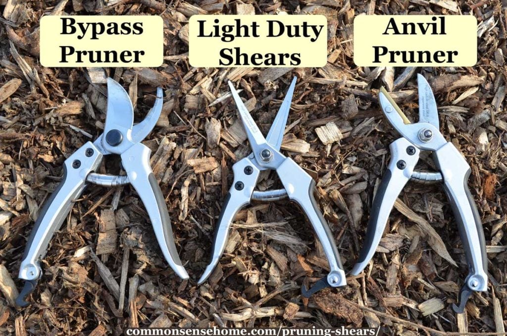 3 types of pruning shears - bypass, light duty, anvil