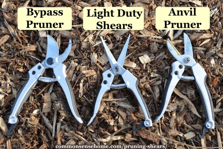 3 types of pruning shears - bypass, light duty, anvil