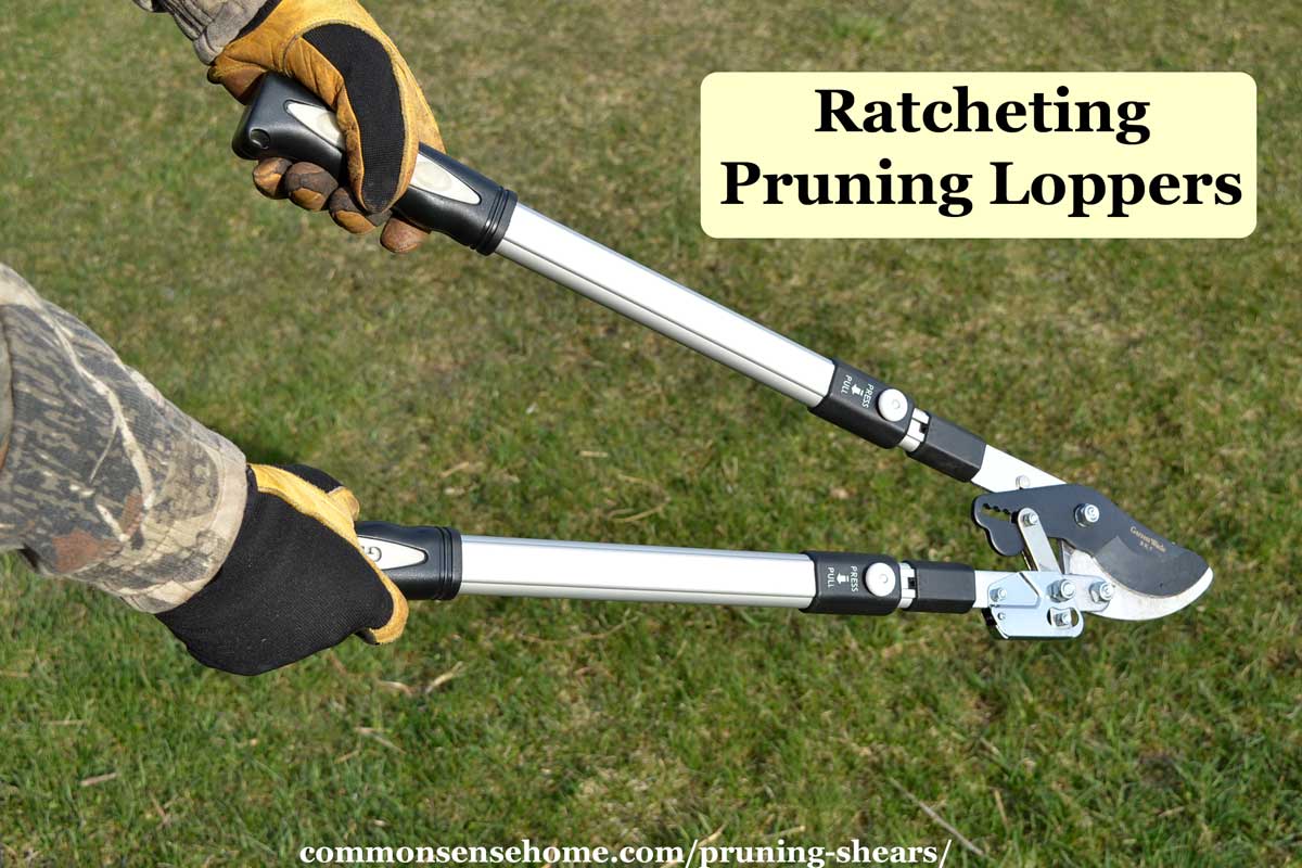 ratcheting pruning loppers