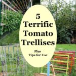 5 Terrific Tomato Trellises