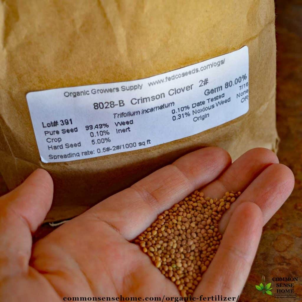 Clover seed to plant a clover cover crop for organic fertilizer.