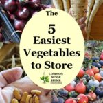 Text "The 5 Easiest Vegetables to Store", surrounded by vegetable photos