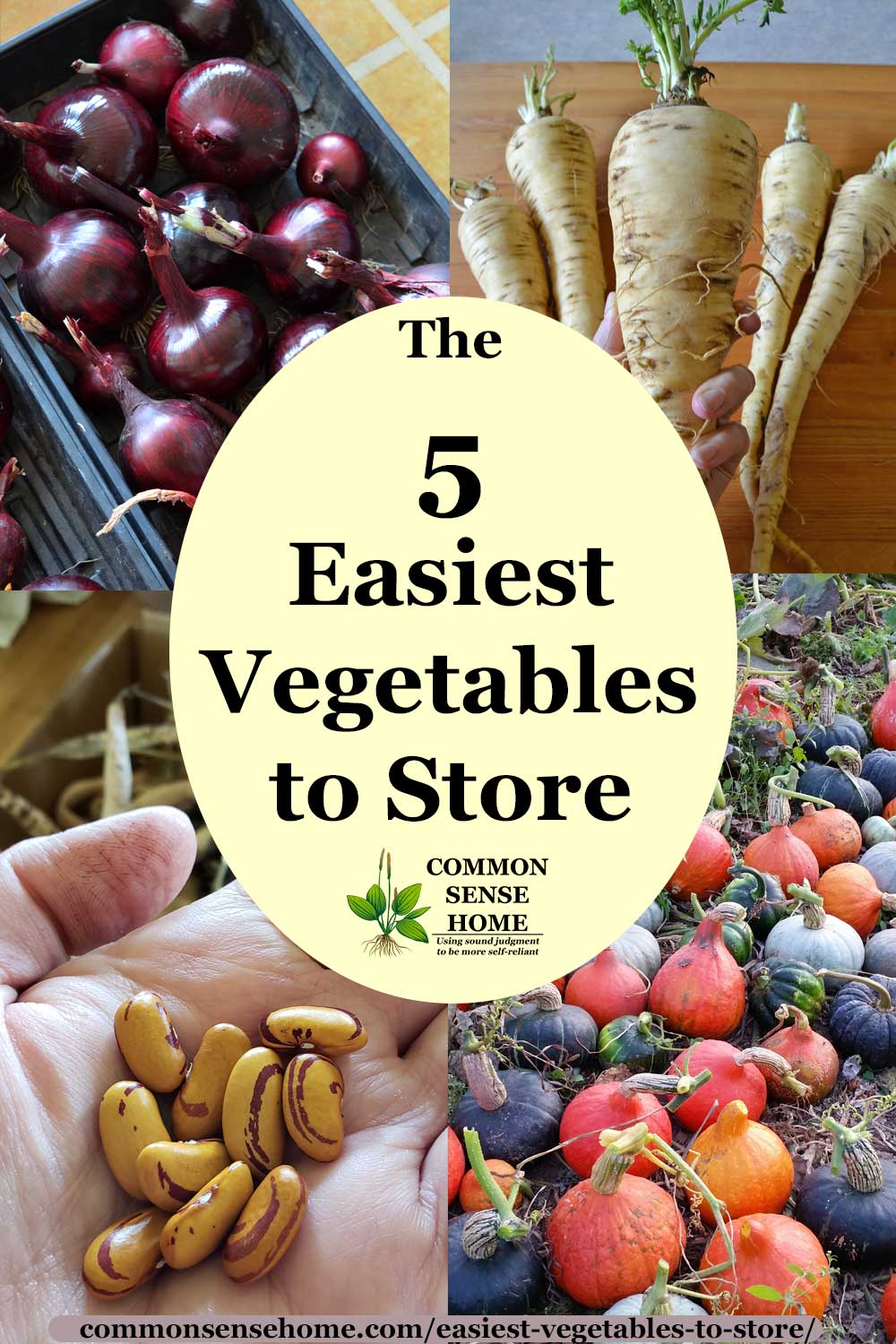 Text "The 5 Easiest Vegetables to Store", surrounded by vegetable photos