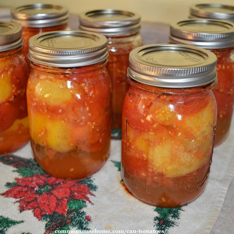 How to Can Tomatoes in a Canner or Large Pot – Easy Instructions