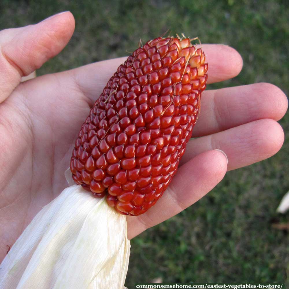 strawberry popcorn