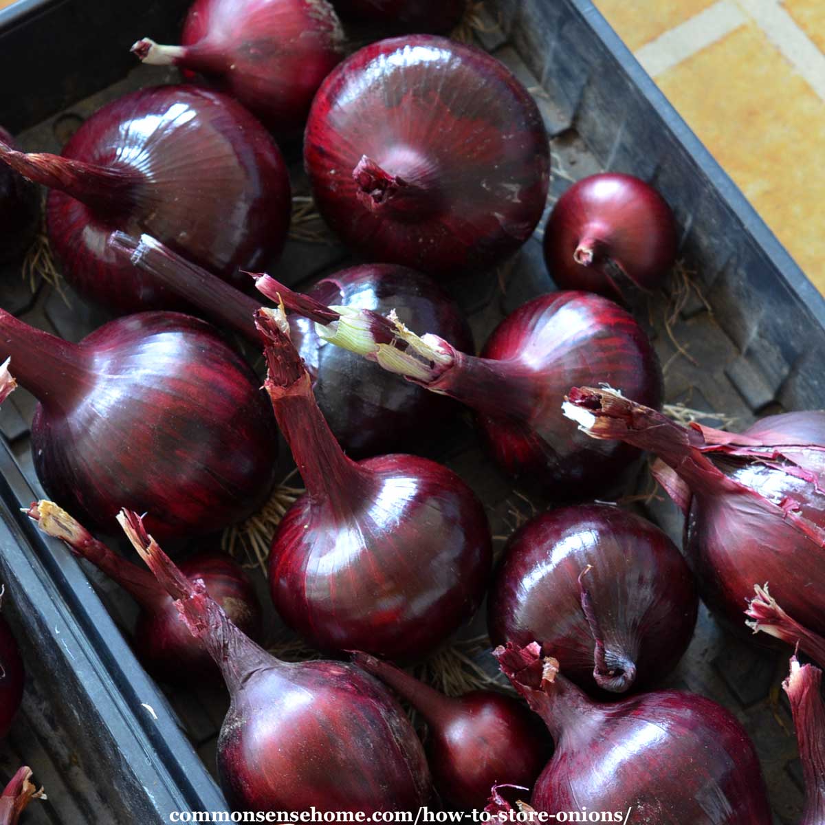 tray of red onions