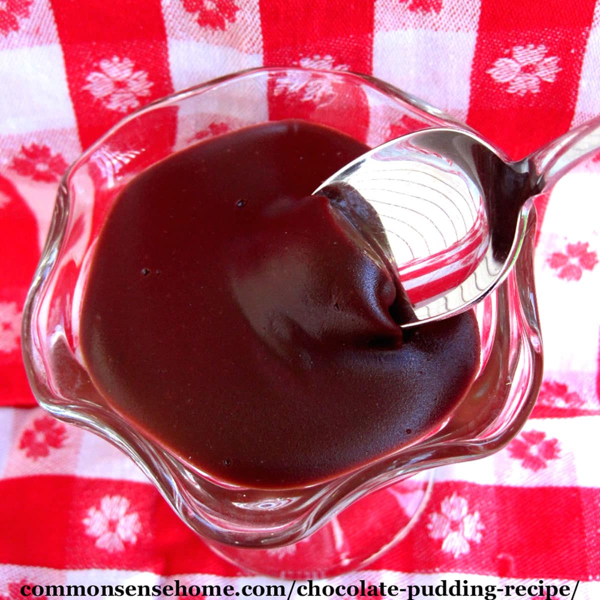 homemade chocolate pudding recipe