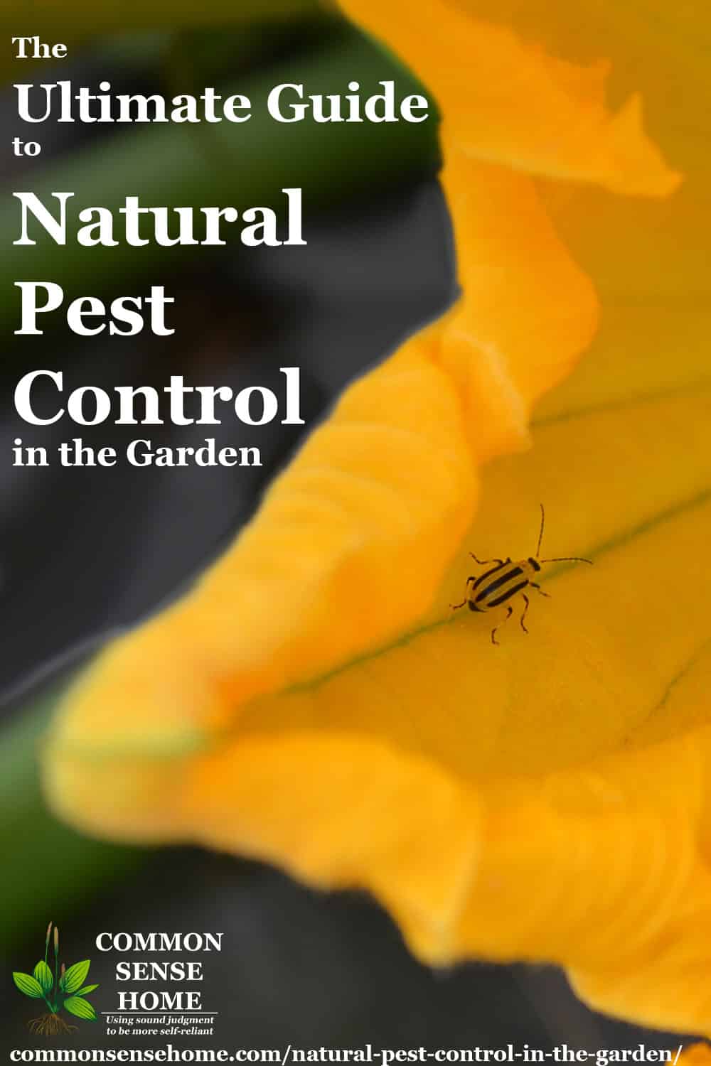 Garden Bugs & Disease Natural-pest-control-guide-20