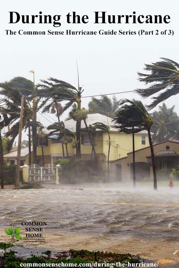 during the hurricane - rain falling and wind blowing palm trees in front of house