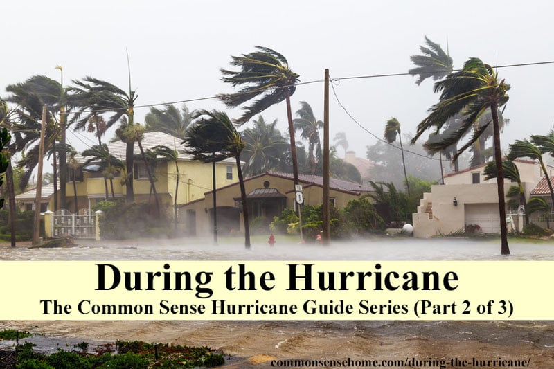 during the hurricane - rain falling and wind blowing palm trees in front of house