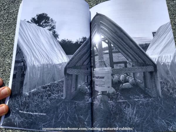Raising Pastured Rabbits - Book Review and Recommendations