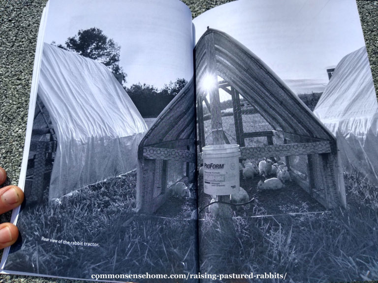 Raising Pastured Rabbits - Book Review and Recommendations