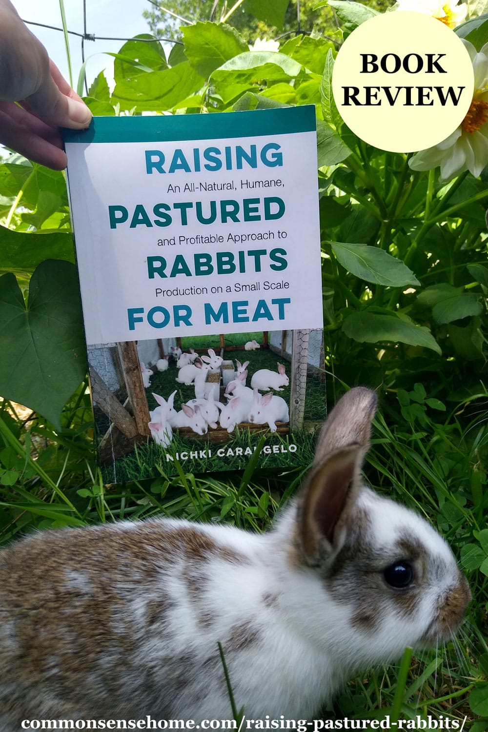 Pastured Rabbits for Meat book with rabbit