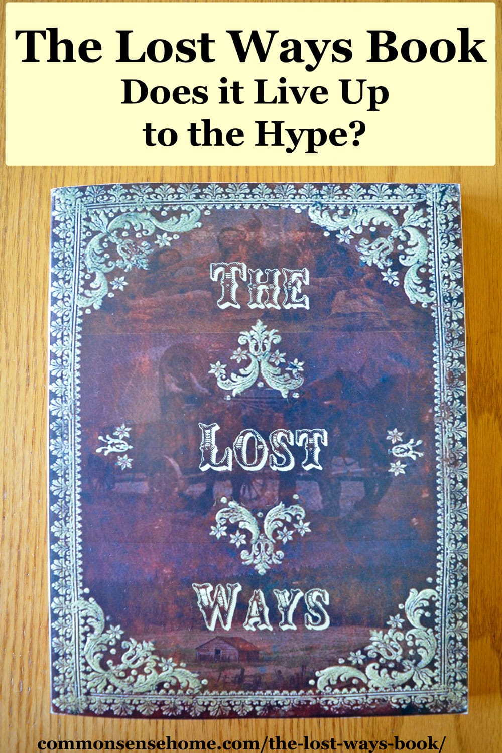 text "The Lost Ways Book - Does it Live Up to the Hype?" with book below