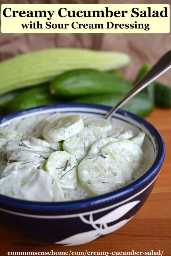 Creamy Cucumber Salad with Sour Cream Dressing
