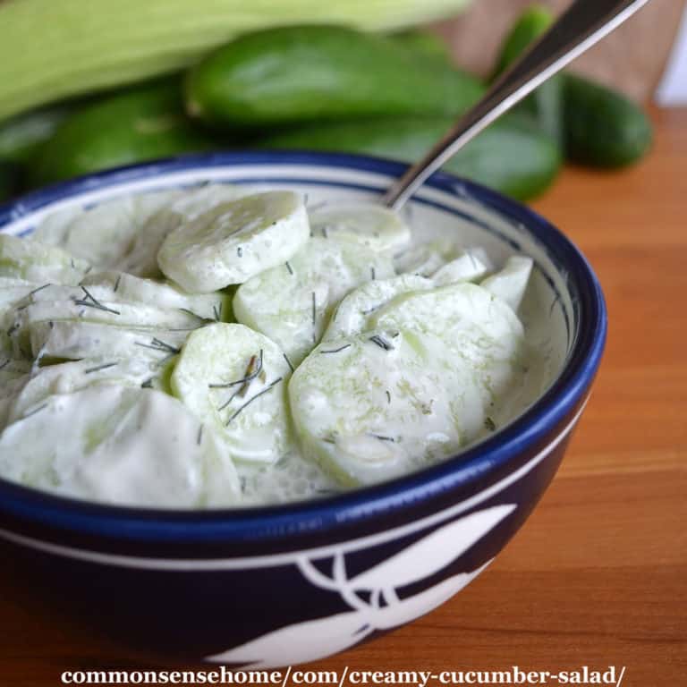 Creamy Cucumber Salad with Sour Cream Dressing