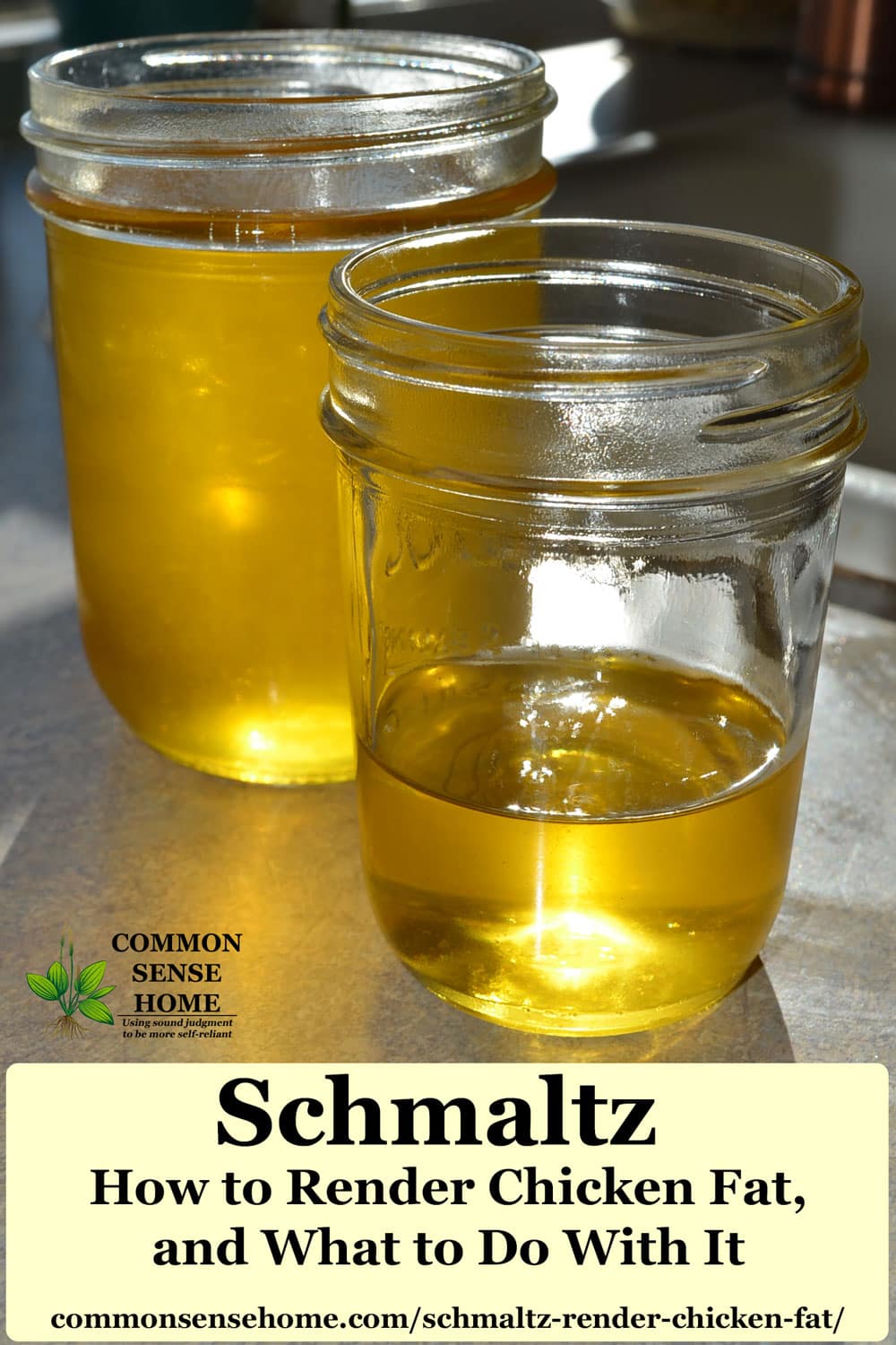 warm homemade schmaltz