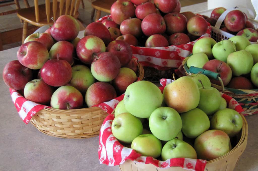 baskets of apples