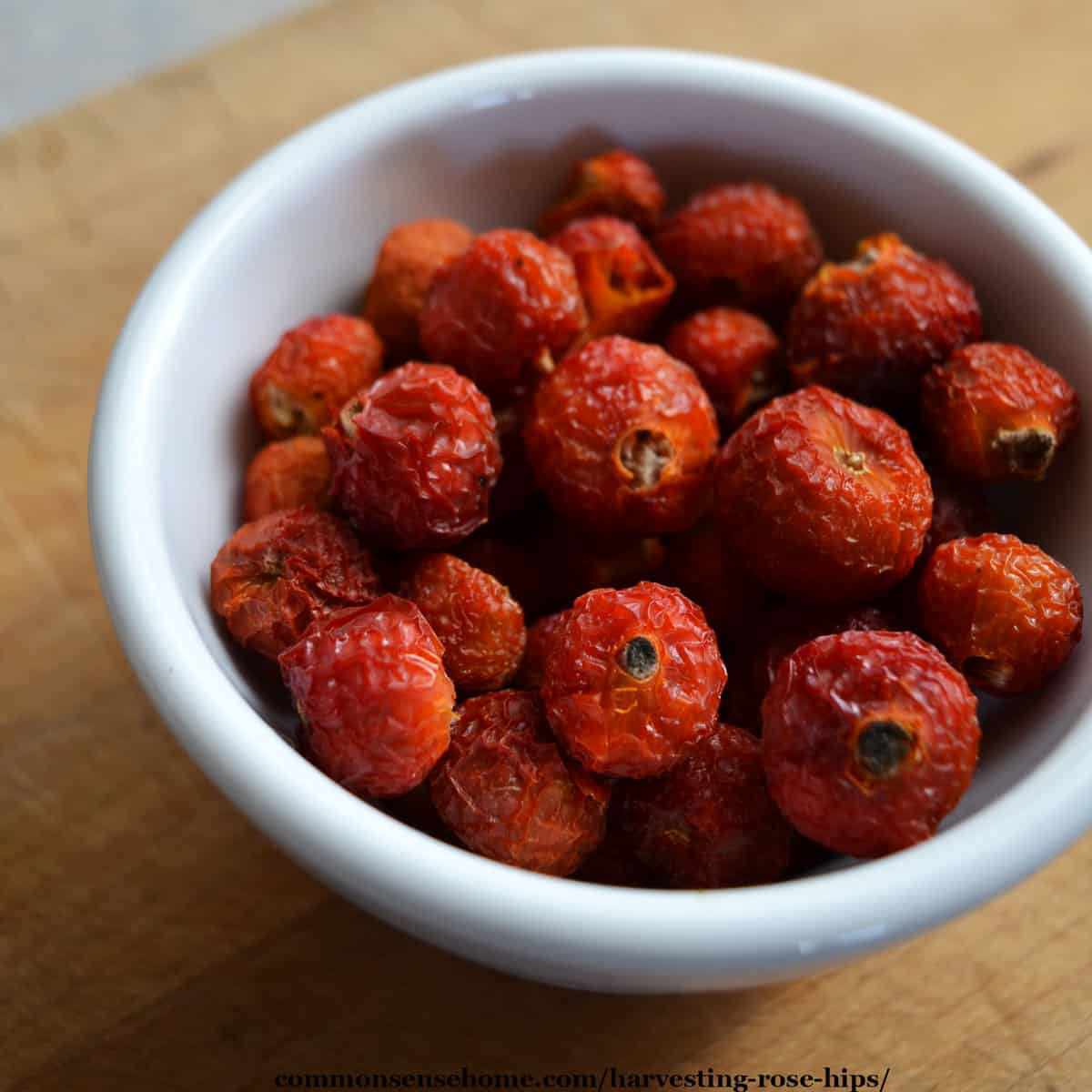 dried rose hips