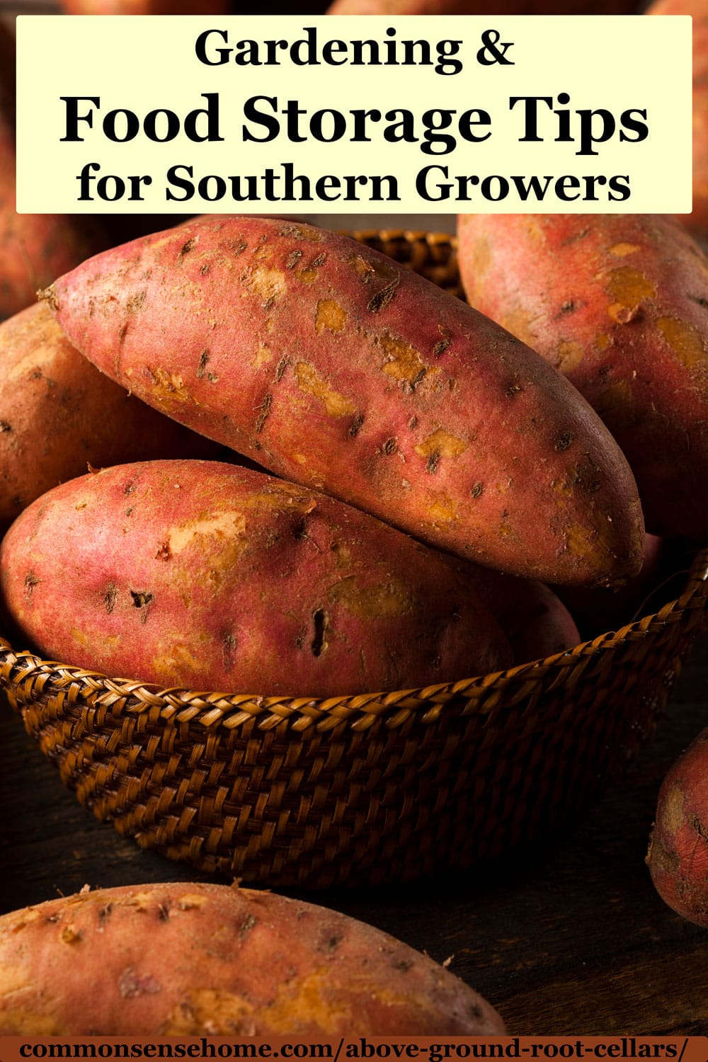 Gardening and Food Storage Tips for Southern Growers