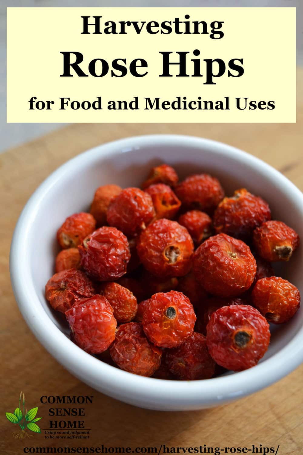 Harvesting Rose Hips for Food and Medicinal Uses