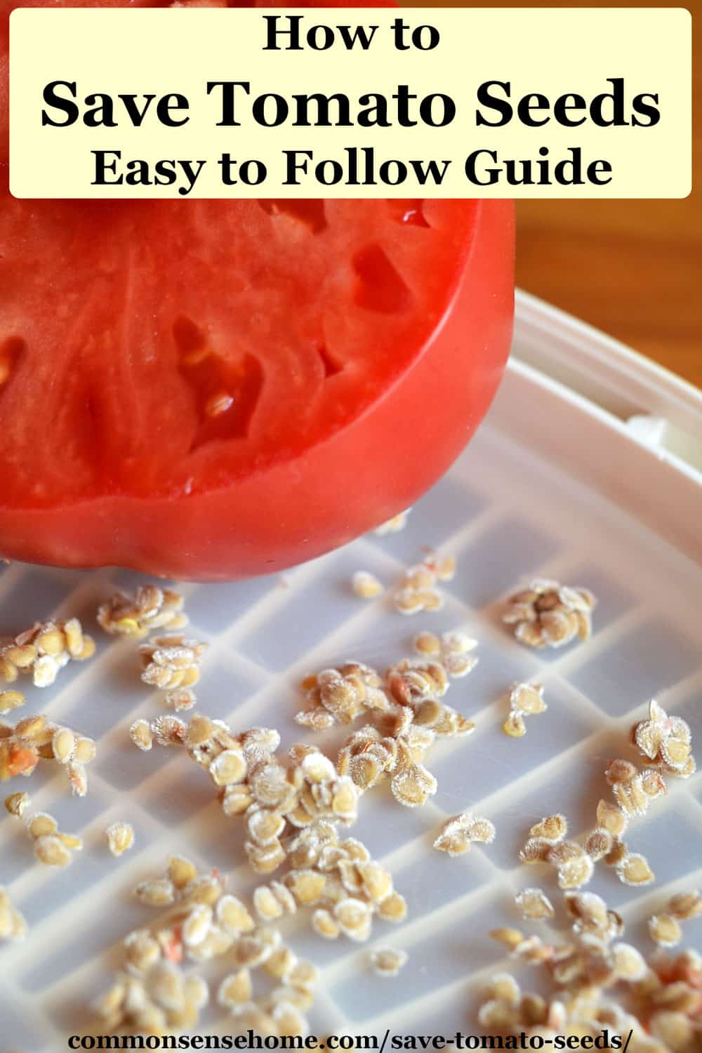 tomato and dried tomato seeds