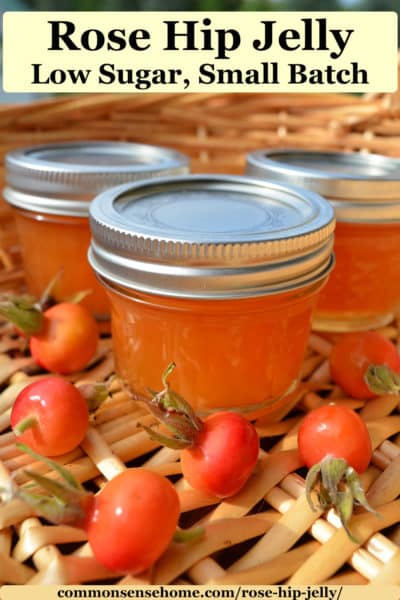 Rose Hip Jelly from Wild or Garden Roses (Low Sugar)