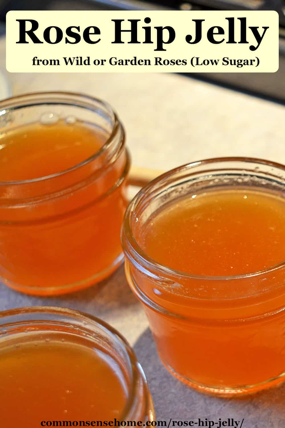 Rose Hip Jelly from Wild or Garden Roses (Low Sugar)