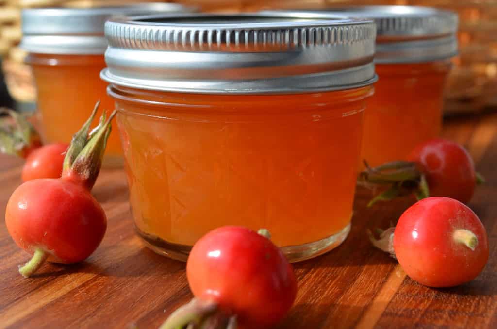 rose hip jelly
