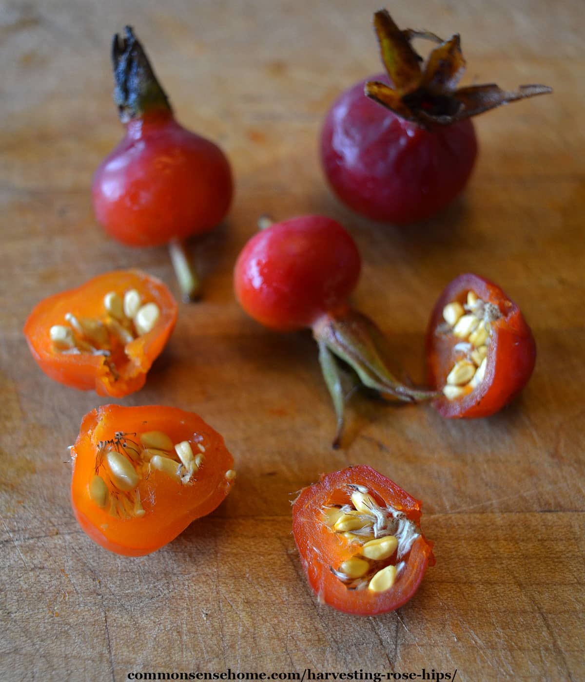 rose hips with some cut in half to show the seeds