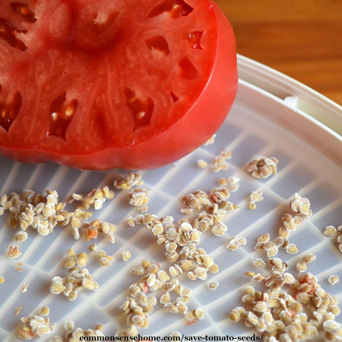 How to Save Tomato Seeds - Easy to Follow Guide