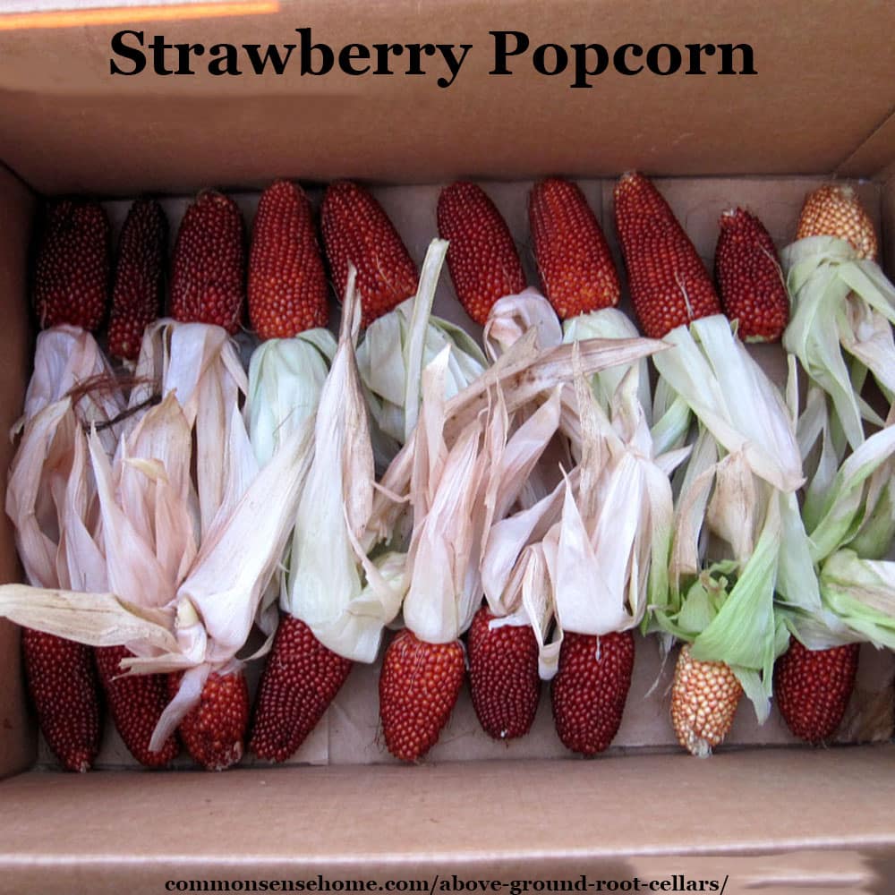 strawberry popcorn