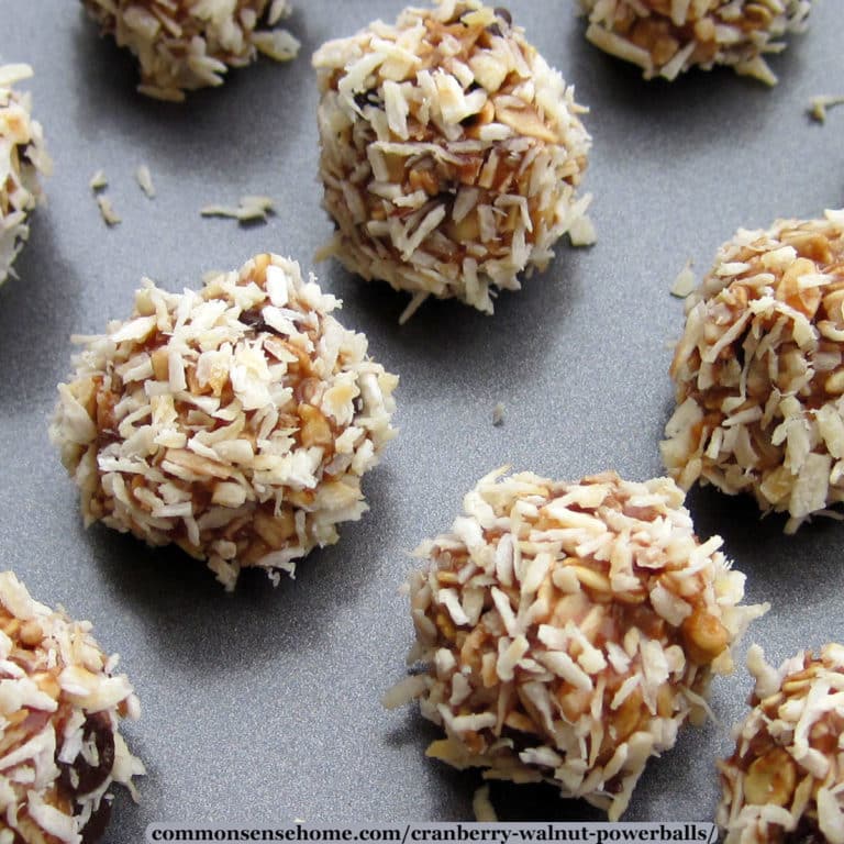 Cranberry Walnut Powerballs – No Bake Healthy Snacks