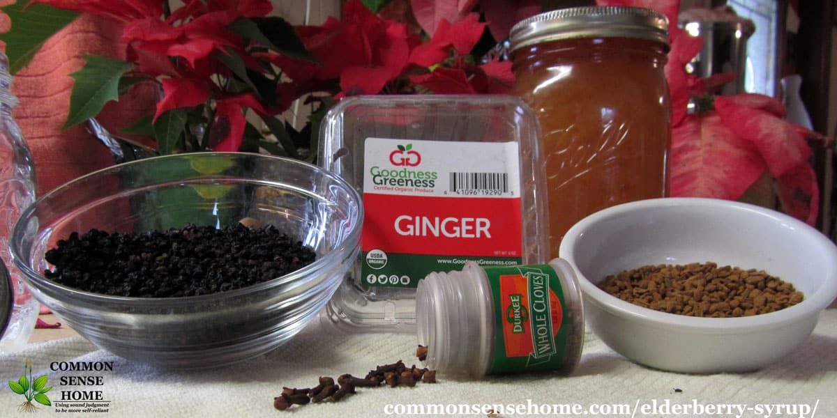 dried elderberry syrup ingredients