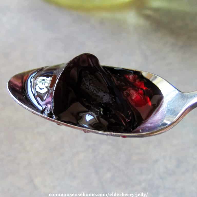 Elderberry Jelly Recipes – Low Sugar and Sure-Jell Options