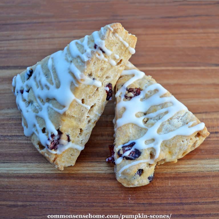 Pumpkin Scones with Dried Cranberries (and Baking Tips)