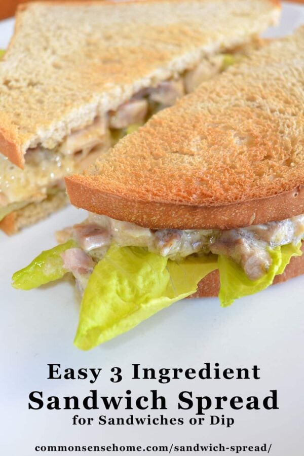 3 Ingredient Sandwich Spread Recipe for Sandwiches or Dip