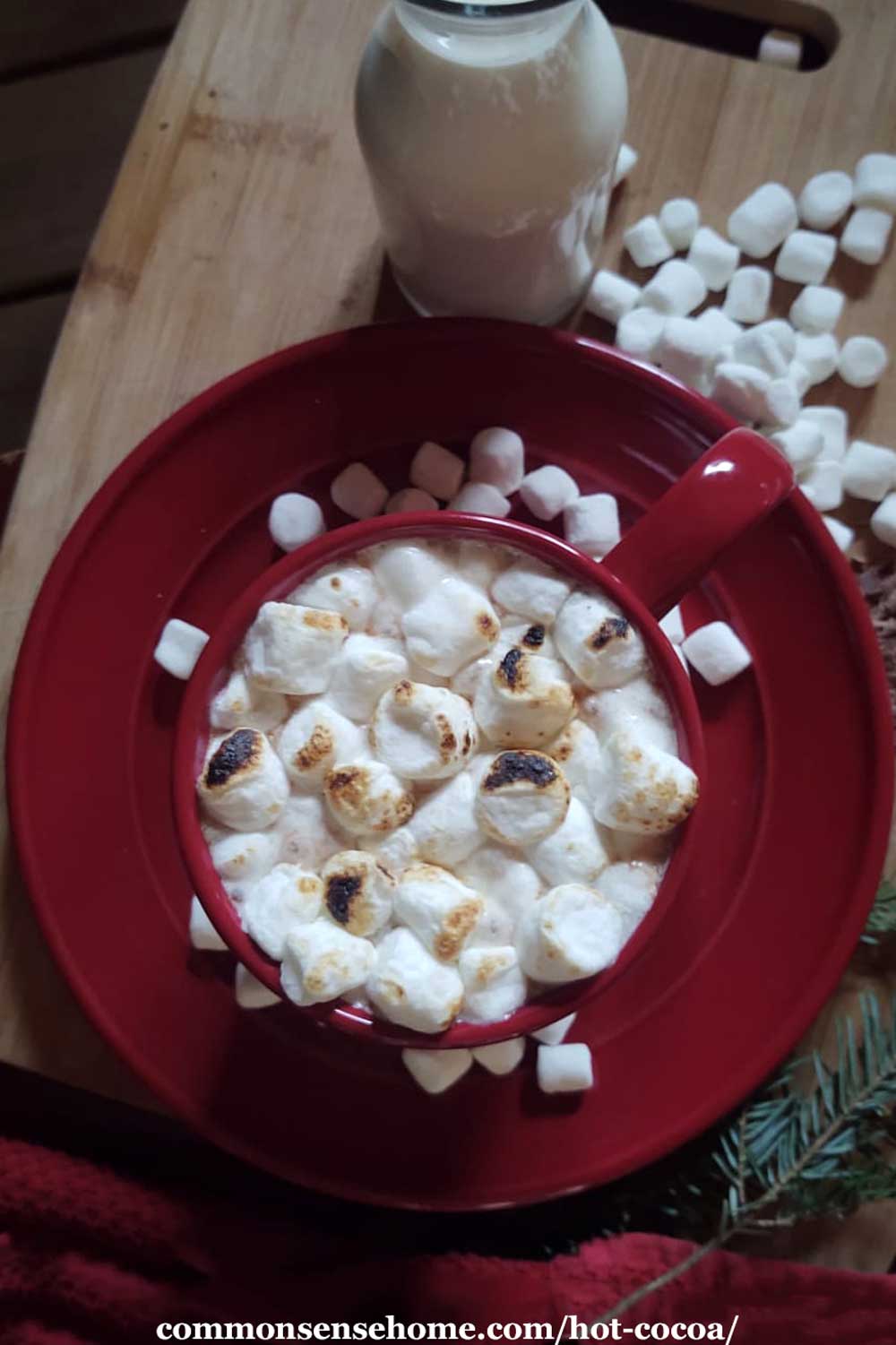 hot cocoa with toasted marshmallows