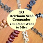 heirloom seeds
