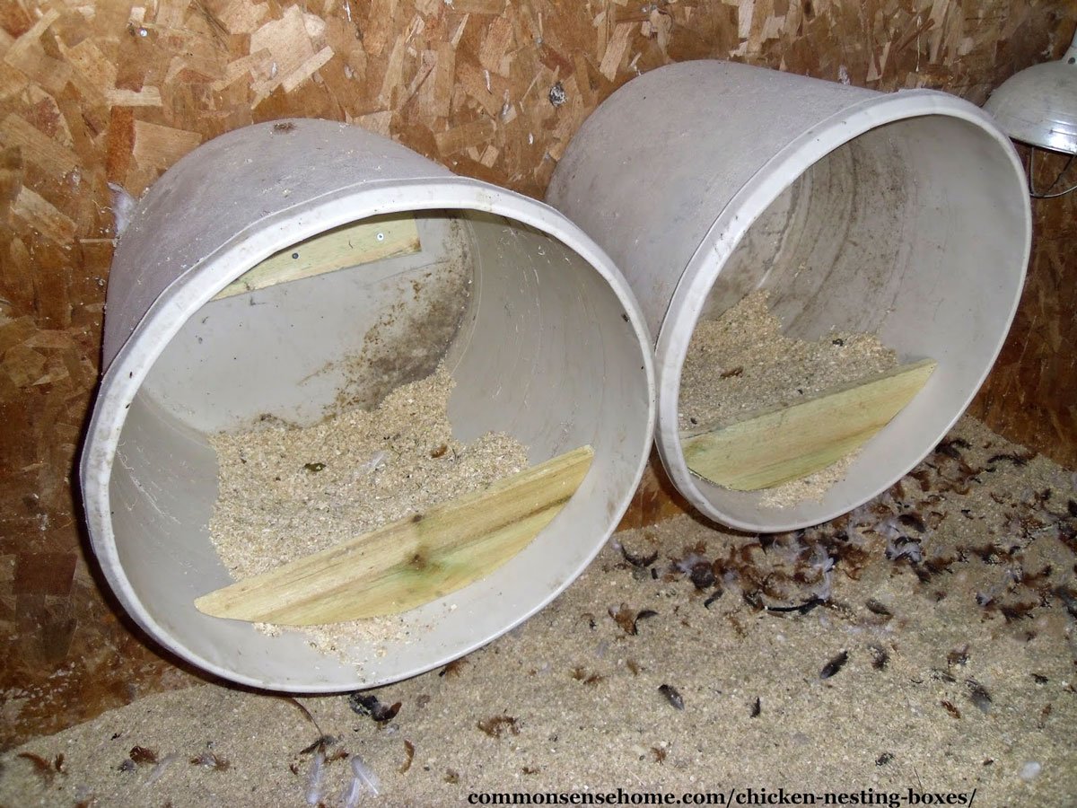 5 gallon bucket chicken nesting boxes