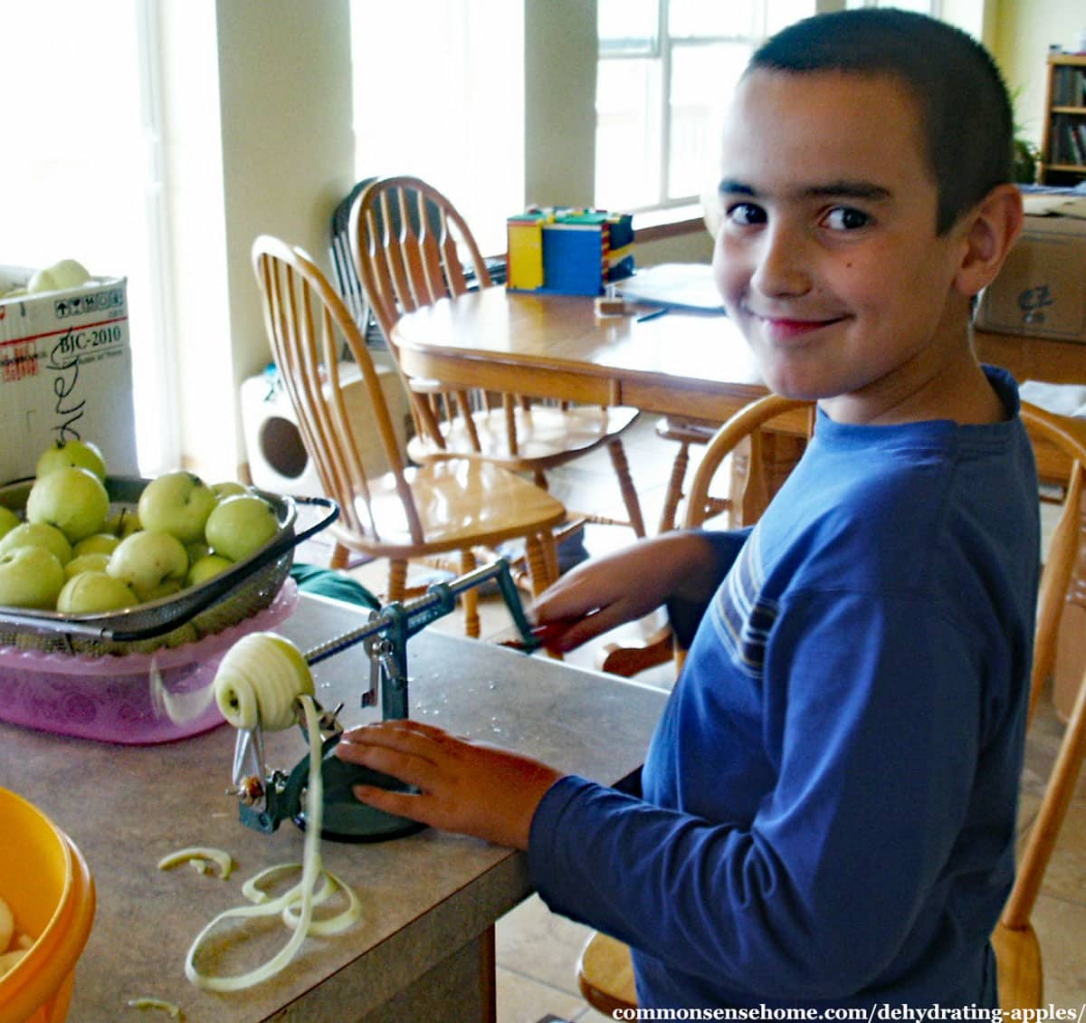 boy peeling and slicing apples