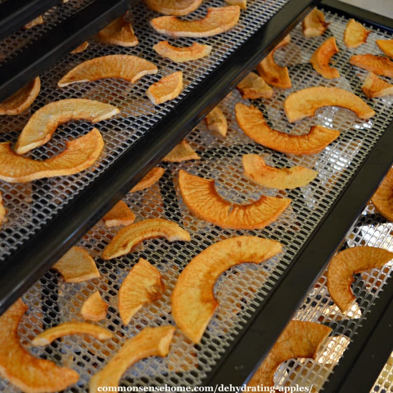 Dehydrating Apples for Easy Homemade Apple Chips