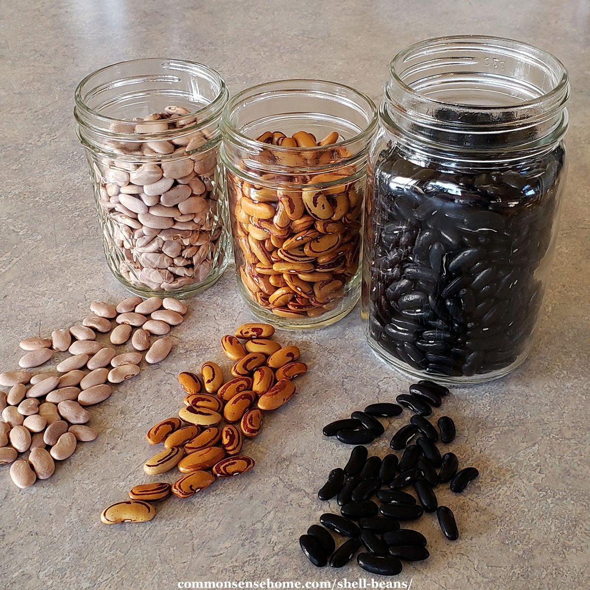 three types of dried beans in mason jars