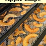 easy homemade apple chips