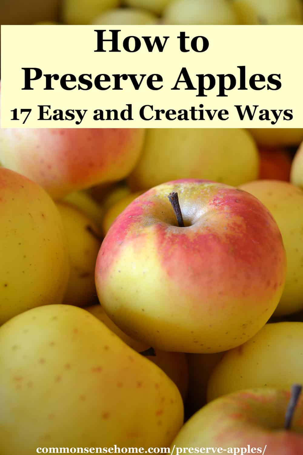 Ways to Preserve Apples