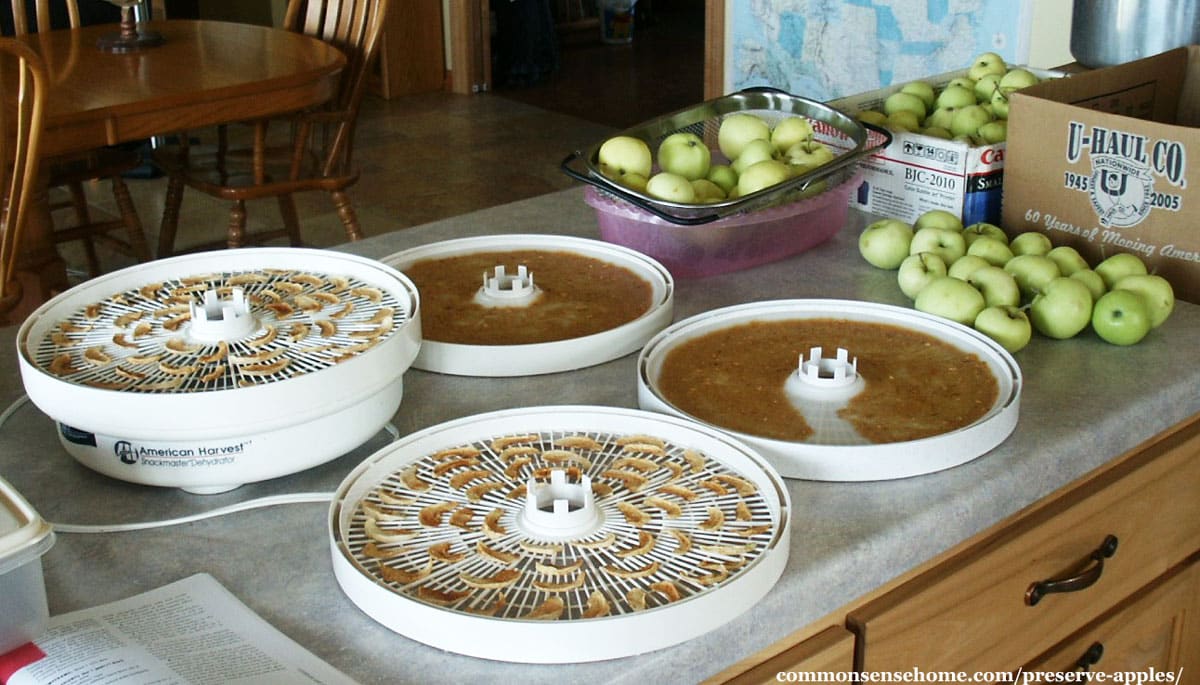 Preserving apples by dehydrating slices and sauce