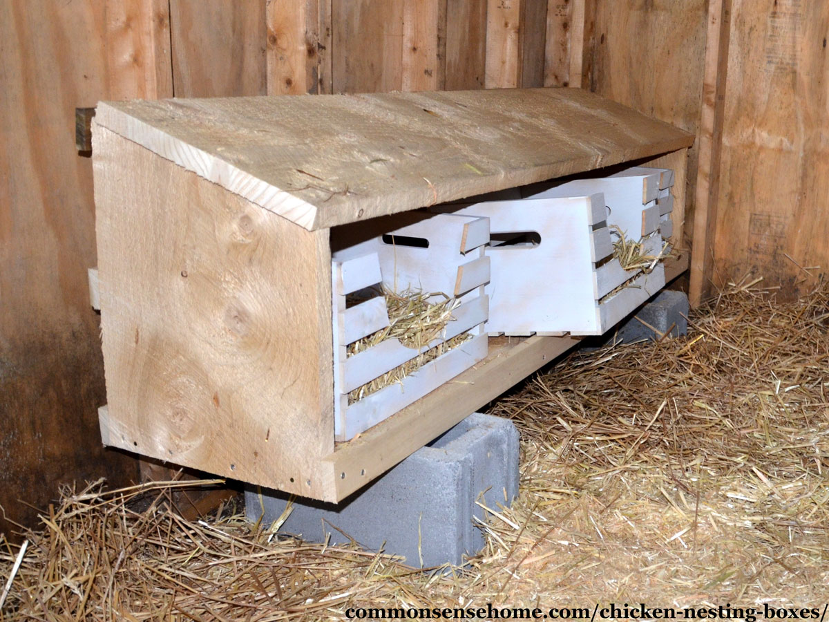 wooden crate nest boxes filled with straw