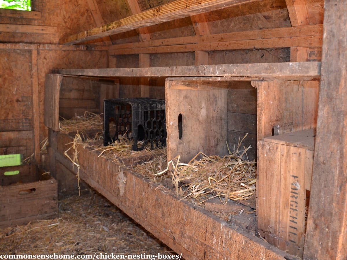 wooden nesting boxes and milk crate nest box with straw in the bottom