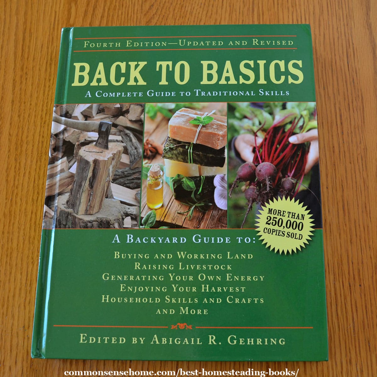 Back to Basics: A Complete Guide to Traditional Skills